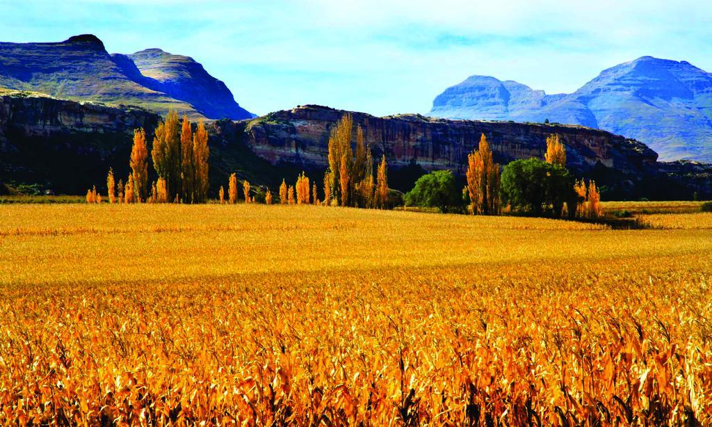Lola'S Self Catering Accommodation Clarens Extérieur photo