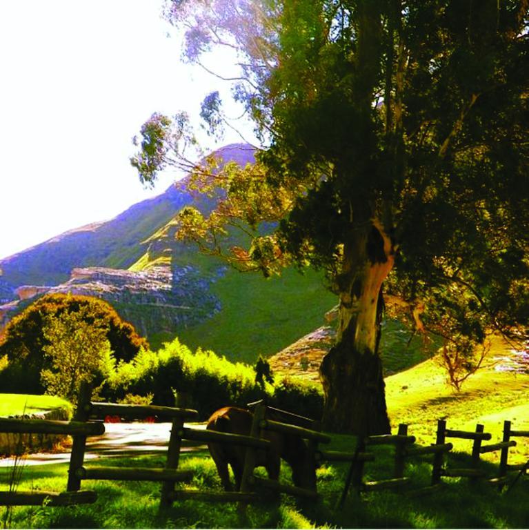Lola'S Self Catering Accommodation Clarens Extérieur photo